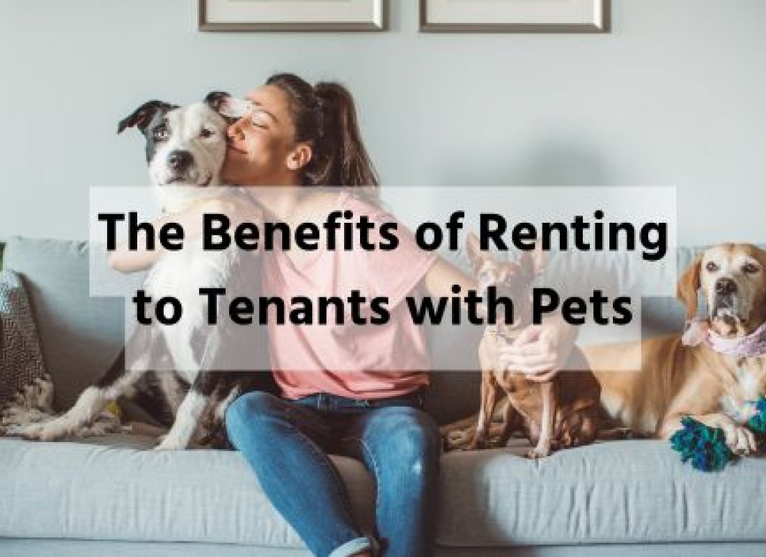 The Benefits of Renting to Tenants with Pets