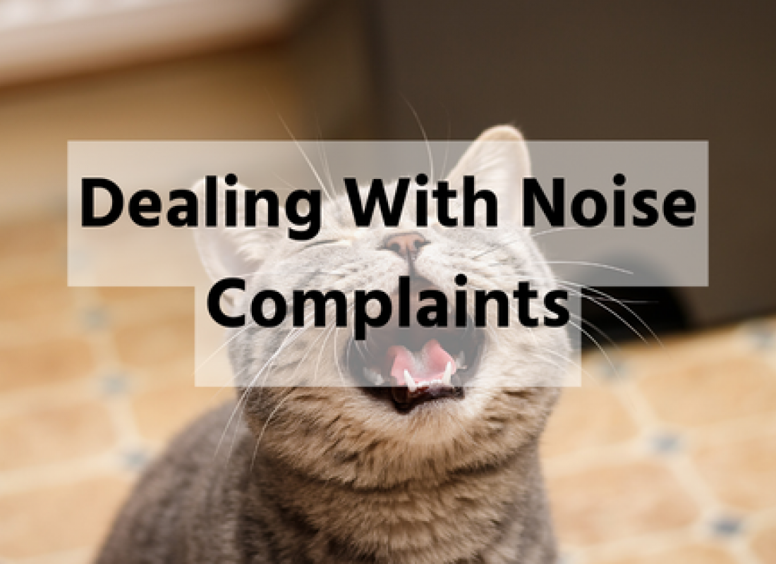 Dealing With Noise Complaints